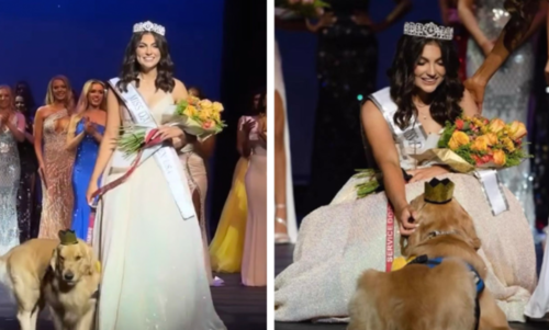 Аутизмтай охин хөтөч нохойн хамт гоо бүсгүйн тэмцээнд оролцож, титмийн эзэн боллоо