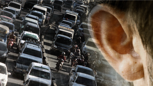 Хүн төрөлхтөн хэзээ нэгэн өдөр аймшигт өвчинтэй бус, шуугиан гэх тахалтай тэмцэнэ