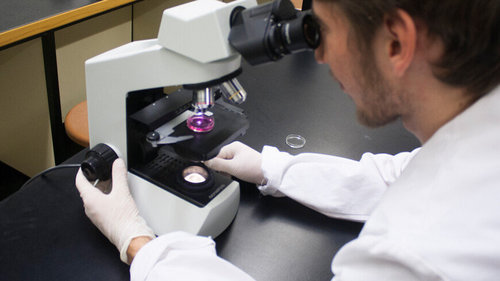 Эрдэмтэд саажилтын эмчилгээг түргэсгэдэг мэдрэлийн эсүүдийг илрүүлжээ