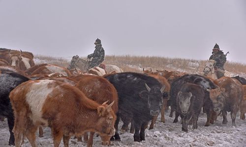 Хилчид 5.9 тэрбум төгрөгийн хохирлоос урьдчилан сэргийлжээ