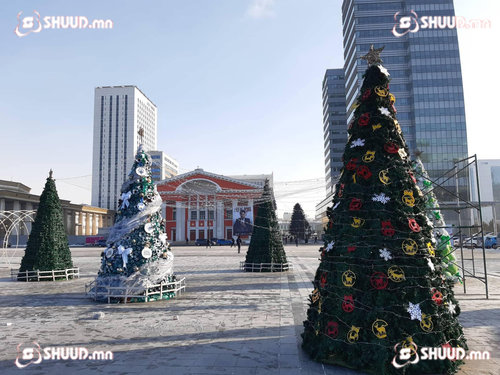 ФОТО: Уур амьсгалын өөрчлөлтийн эсрэг утга бүхий гацуурнууд