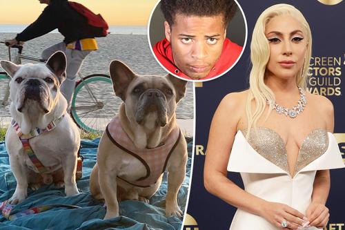 Леди Гагагийн нохой салхилуулагчийг буудаж, нохдыг нь хулгайлсан этгээдэд 21 жилийн хорих ял оноов