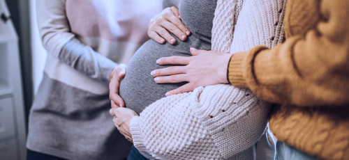 Орост гадаадын иргэдэд тээгч эхийн үйлчилгээ үзүүлэхийг хоригложээ