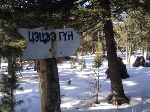 “Цэцээ гүн” рүү алхаад буцах замдаа төөрч, нас баржээ