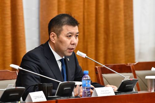 Б.Энхбаяр: Намууд жагсаалтын эхний таваа 10-15 ТЭРБУМААР зарж байгаа мэдээлэл бий