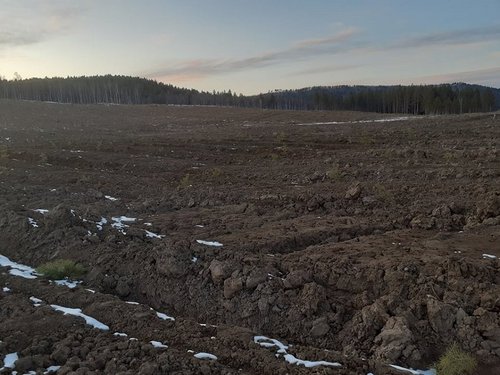 Дархан-Уул аймаг 3 га газарт 60 сая төгрөгөөр нөхөн сэргээлт хийх ТЕНДЕР зарлажээ