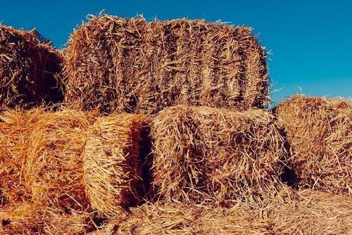 Өвс тэжээл хулгайлан, зарж борлуулсан хэргийг илрүүлжээ