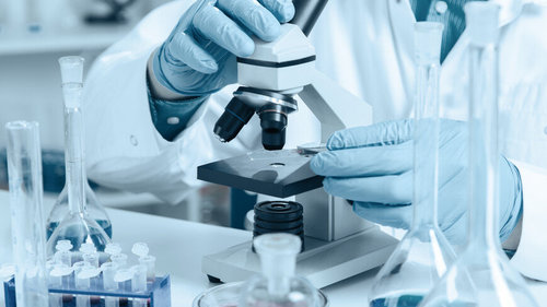 Хятадын эрдэмтэд байгальд задардаг шил бүтээжээ