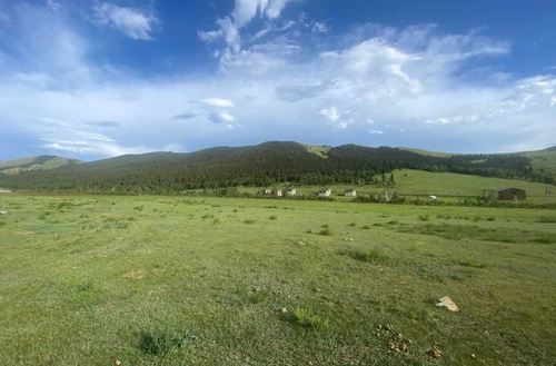 Н.Цэлмүүн Кувейтийн аманд 22 га газар эзэмшдэг