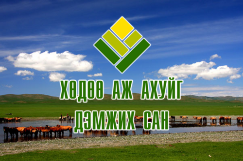 Ш.Раднаасэдийн хамаатан Д.Ганзориг ХААДС-аас 4.5 тэрбумын зээл аваад ТӨЛӨӨГҮЙ байна