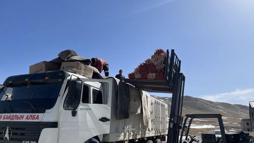 Ой, хээрийн түймэрт өртсөн 15 айлд гэр олгохоор боллоо