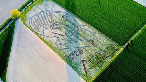 ВИДЕО: Асар том тариалангийн талбайд Пабло Пикассогийн хөргийг бүтээжээ