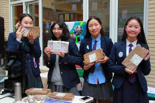 Хэнтийн сурагчид хаягдал цаасыг дахин боловсруулж эхэлжээ