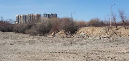 Туул гол руу шороо түрж, далан үүсгэсэн “Хан талст” ХХК-ийг торгожээ