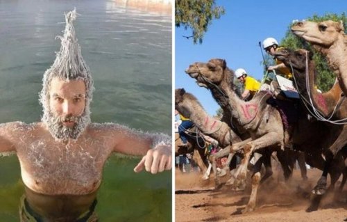 Дэлхийн хамгийн хачирхалтай наадмууд