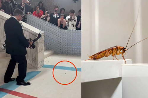 Met Gala арга хэмжээний урилгагүй зочин олны анхаарлыг татав