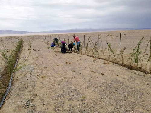 900 сая төгрөгөөр ойн зурвас байгуулна