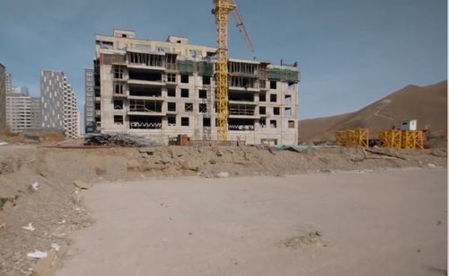 Туул голын бургас сүйтгэсэн “Могулибиз ХХК”-ийн үйл ажиллагааг зогсоосон ч нууцаар ажиллаж байна