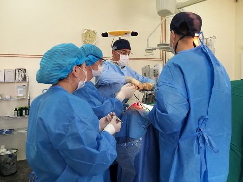 АНУ-ын зочин профессорын баг Гуравдугаар эмнэлэгт ажиллаж эхэллээ