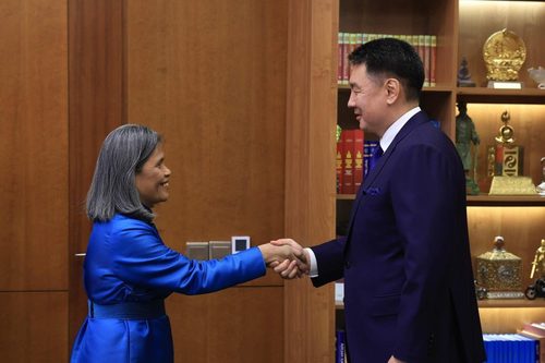 Ерөнхийлөгч У.Хүрэлсүх ДЭМБ-ын Суурин төлөөлөгчтэй уулзлаа