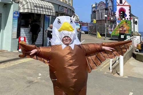 Шувуу үргээж, өдөрт 250 доллар олдог Кори