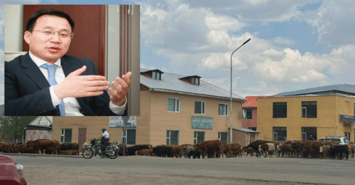 Г.Өнөрбаяр нүүдэл хийж байгаа малчдыг малтай нь 