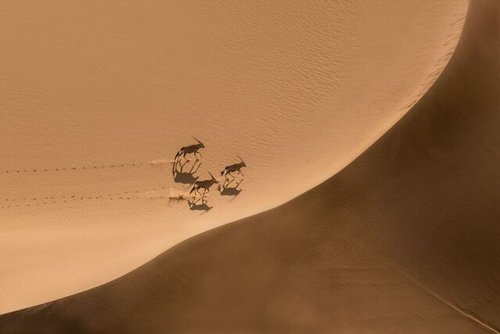 International Photography Awards-2022 оны шагнал хүртсэн гайхалтай зургууд