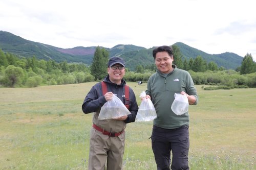 10 жилийн хугацаанд Туул голд 617 мянган загас тавьжээ