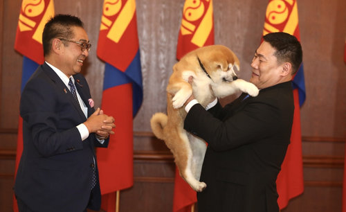 Ерөнхий сайд Л.Оюун-Эрдэнэ бэлгээ хүлээн авлаа