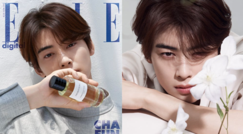 Жүжигчин Cha Eun Woo Elle сэтгүүлийн нүүрийг чимжээ