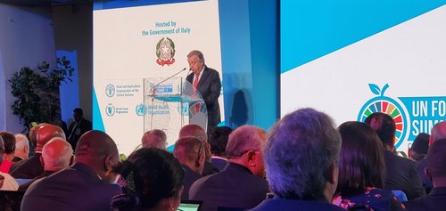 Хүнсний асуудлаарх НҮБ-ын дээд хэмжээний уулзалт болж байна