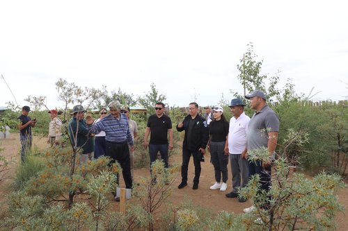 Сумандаа мод тарихыг үлгэрлэж буй өндөр настан Ц.Төмөрт