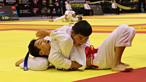 Э.Сумъяабэйс ХҮРЭЛ МЕДАЛЬ хүртлээ