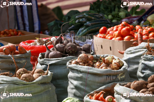 СУРВАЛЖИЛГА: Шинэ ургацын ногоо зах зээлийн үнээс хямд байна