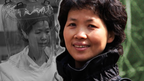 Коронавирус дэгдээсэнд сэжиглэгддэг эрдэмтэн Хятадын ШУА-д нэр дэвшжээ