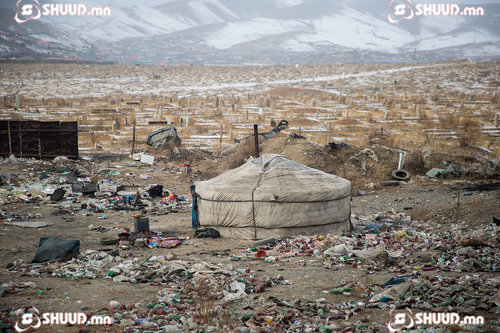 Багаар нь сонгоод ядуурсан Монгол