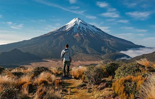 Шинэ Зеландын уулчин 600 метрийн өндрөөс унаад амьд үлджээ