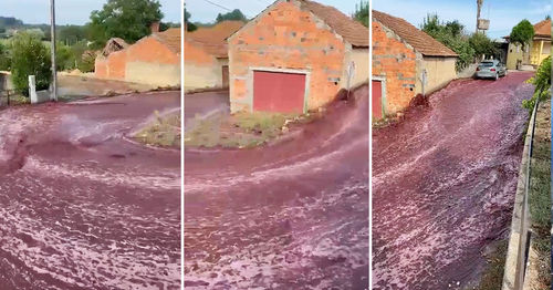 ВИДЕО: Португалид 2,2 сая литр дарс гол адил урсжээ