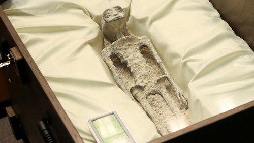 ВИДЕО: Мексикт олон нийтэд харуулсан харь гарагийн биетүүдийг эрдэмтэд судалжээ