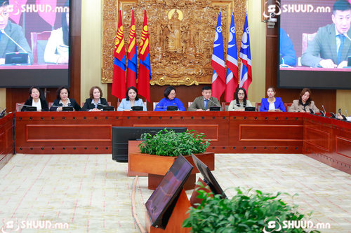 С.Баярцогт: Манай дэд дарга нар Сүүдрийн Засгийн газрын хэмжээнд үйл ажиллагаа явуулна