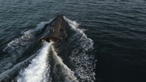 Герман Украинд 50 шумбагч дрон өгнө