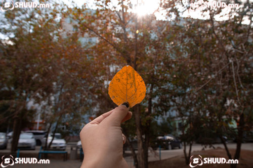 Улаанбаатарт 13 хэм дулаан байна