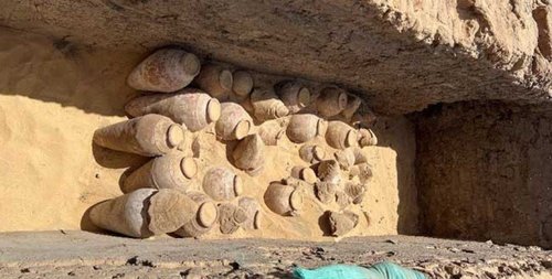 Дэлхийн хамгийн эртний дарсыг Египетээс олжээ