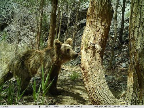 Монгол Малаазайг дэлхийд таниулах 10 сая төгрөгийн шагналын сантай лого бүтээх уралдаан зарлалаа