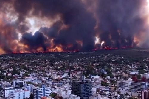 ВИДЕО: Кофе чанаж уусан залуу гал алдсаны улмаас Аргентины том хот түймэрт автлаа