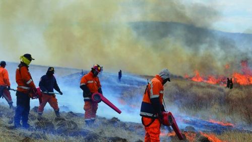 Түймэрт 583 га талбай өртжээ