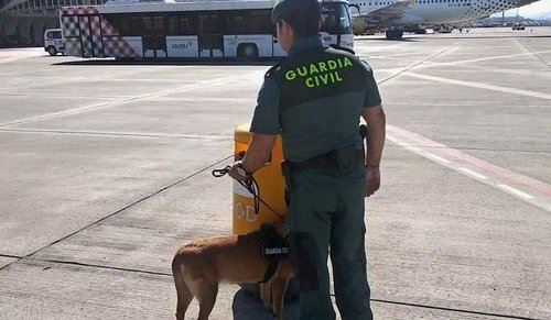 Египетийн иргэн онгоцны ачааны хэсэгт нуугдан Испани хүрчээ