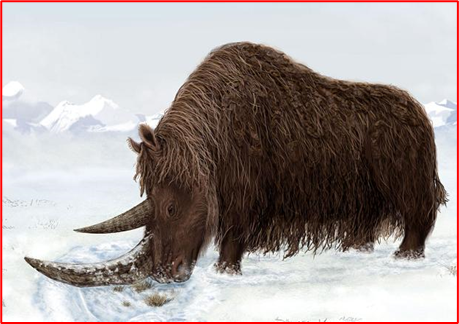 Зоорь ухсан иргэн 40 мянган жилийн өмнө амьдарч байсан Савагт хирсний яс олжээ