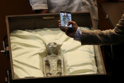 Перугаас олдсон харийнхны цогцос жинхэнэ гэж эрдэмтэд мэдэгджээ