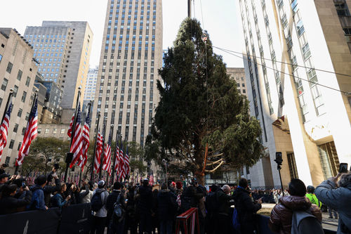 ВИДЕО: Нью-Йоркийн төвд Зул сарын гацуур босгов